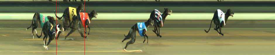 Photo finish for Warragul Race 8