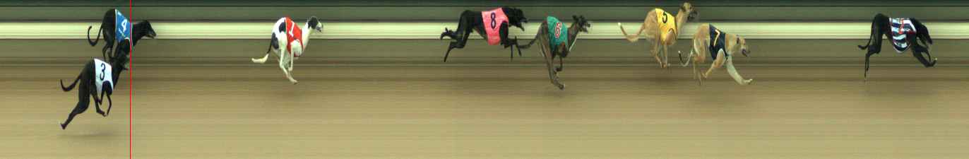 Photo finish for Warragul Race 2