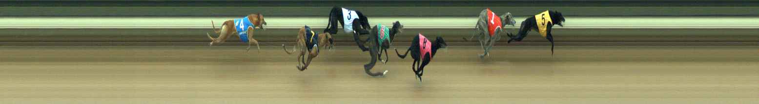 Photo finish for Warragul Race 4