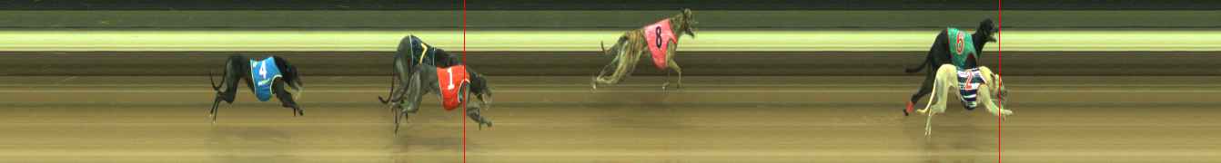 Photo finish for Warragul Race 5