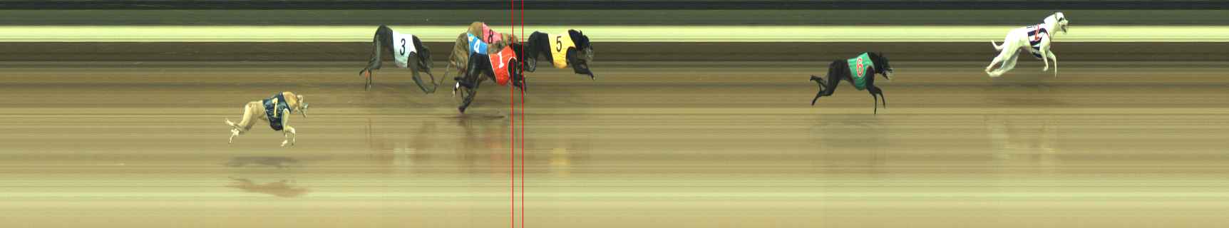 Photo finish for Warragul Race 6