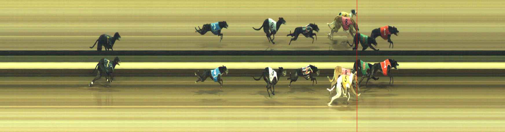 Photo finish for Warragul Race 8