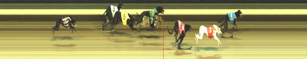 Photo finish for Warragul Race 9