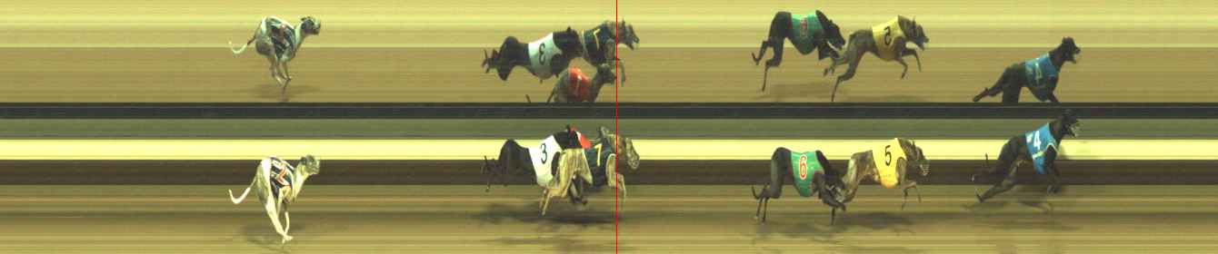 Photo finish for Warragul Race 11