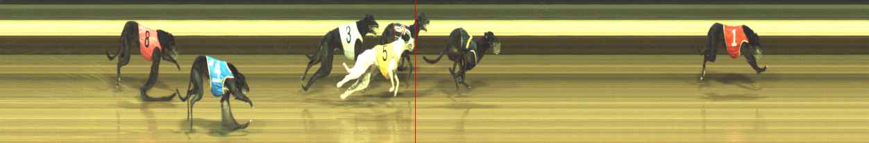 Photo finish for Warragul Race 12