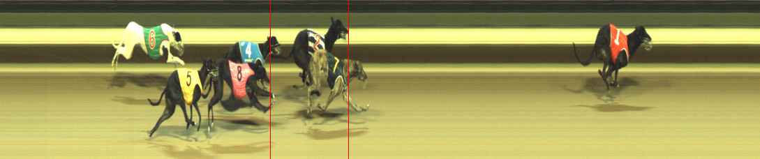 Photo finish for Warragul Race 1