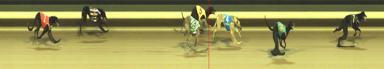 Photo finish for Warragul Race 2