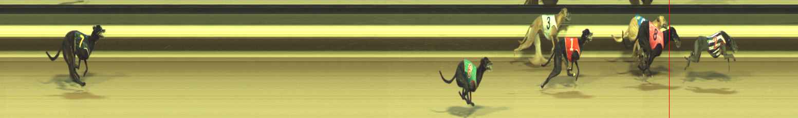 Photo finish for Warragul Race 3