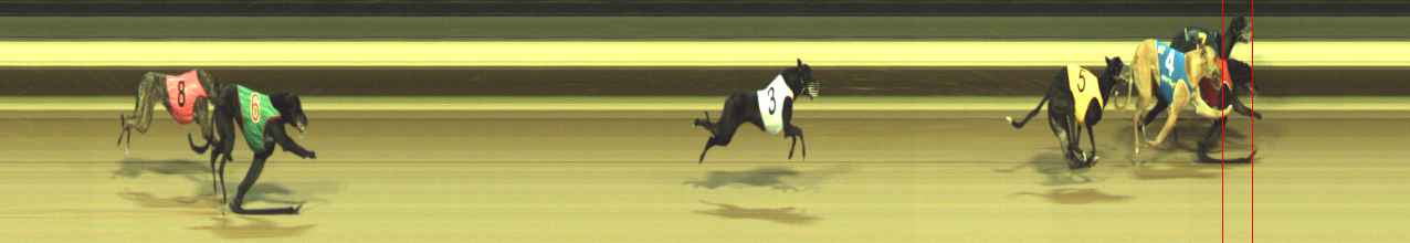 Photo finish for Warragul Race 4
