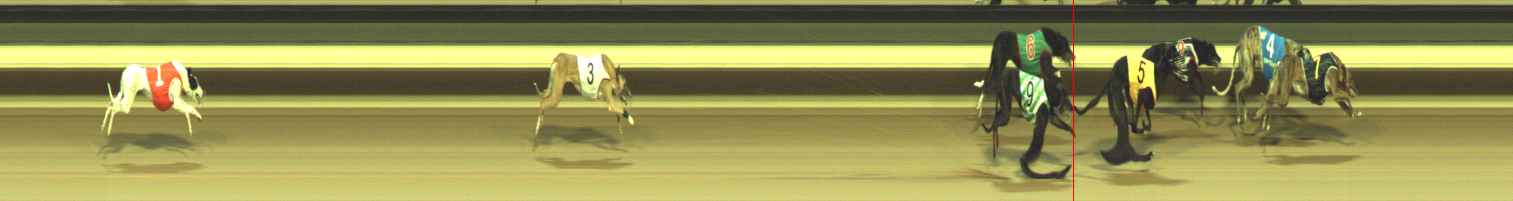 Photo finish for Warragul Race 5