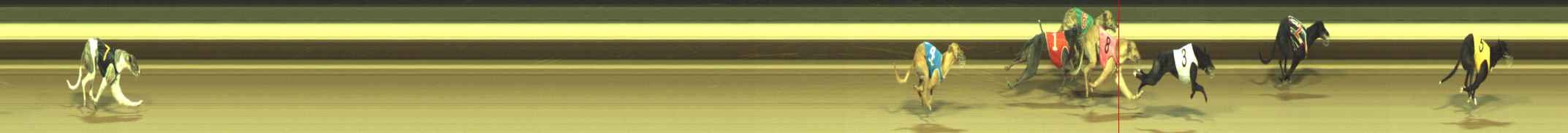 Photo finish for Warragul Race 6