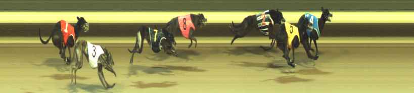 Photo finish for Warragul Race 7