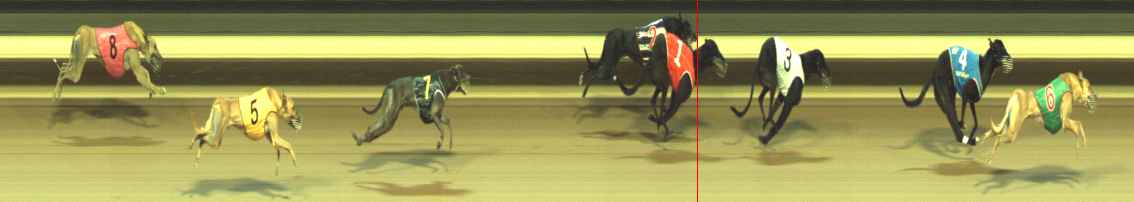 Photo finish for Warragul Race 8