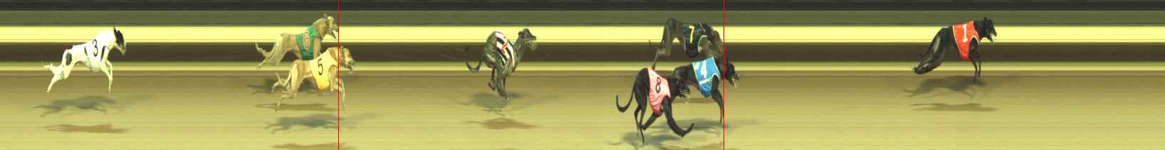 Photo finish for Warragul Race 9