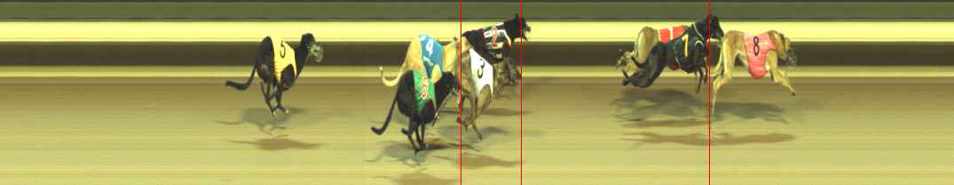 Photo finish for Warragul Race 11
