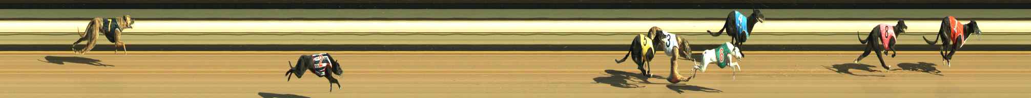 Photo finish for Warragul Race 1