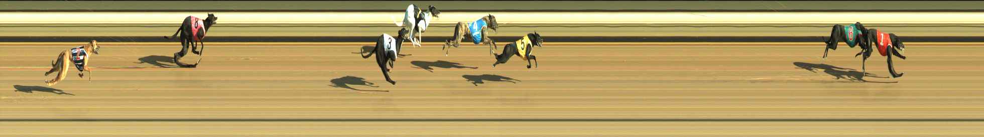 Photo finish for Warragul Race 2