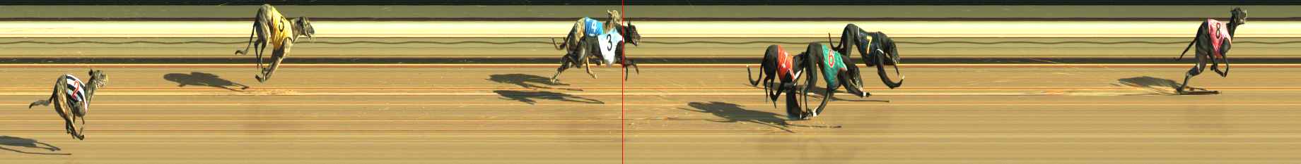 Photo finish for Warragul Race 3