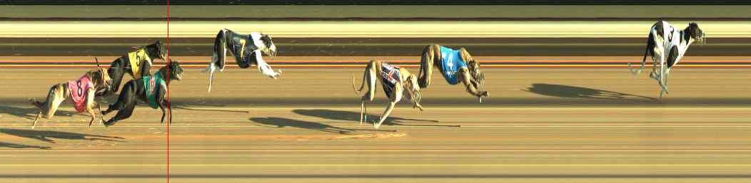 Photo finish for Warragul Race 5
