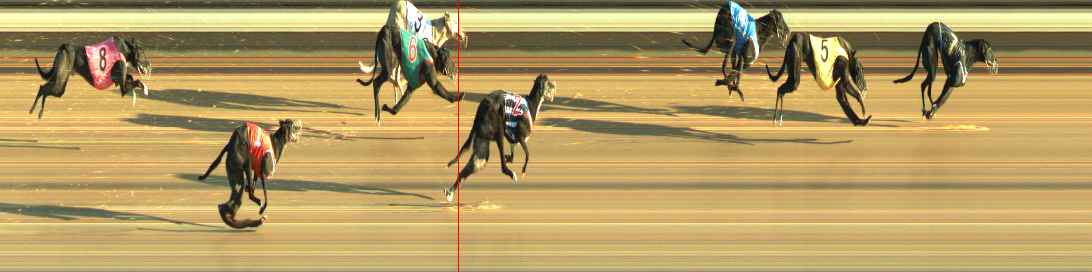 Photo finish for Warragul Race 6
