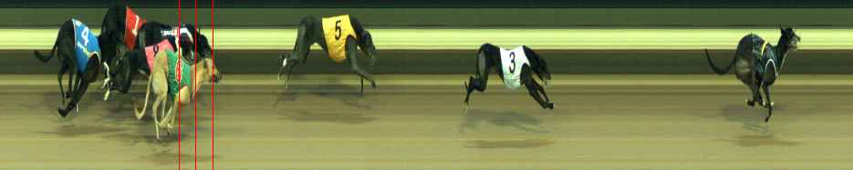 Photo finish for Warragul Race 8