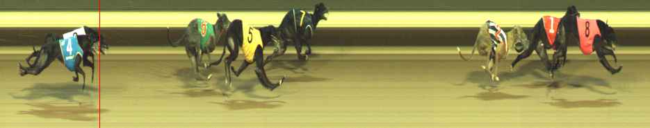 Photo finish for Warragul Race 10