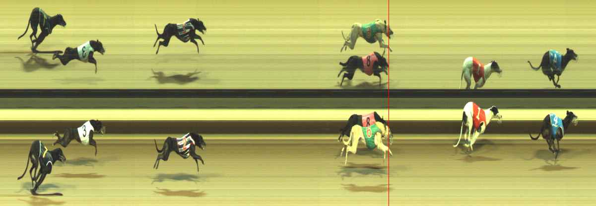 Photo finish for Warragul Race 11