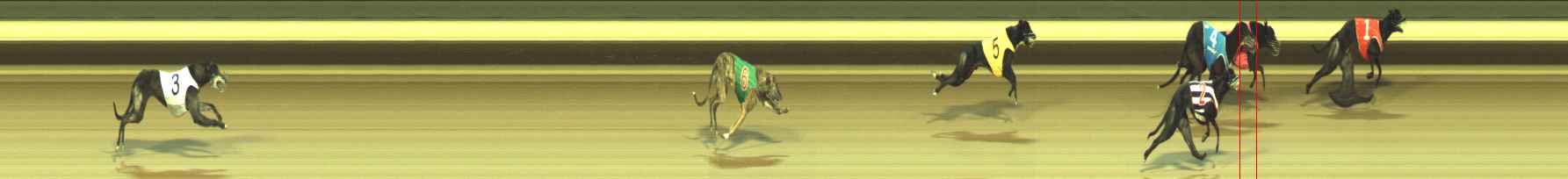 Photo finish for Warragul Race 12
