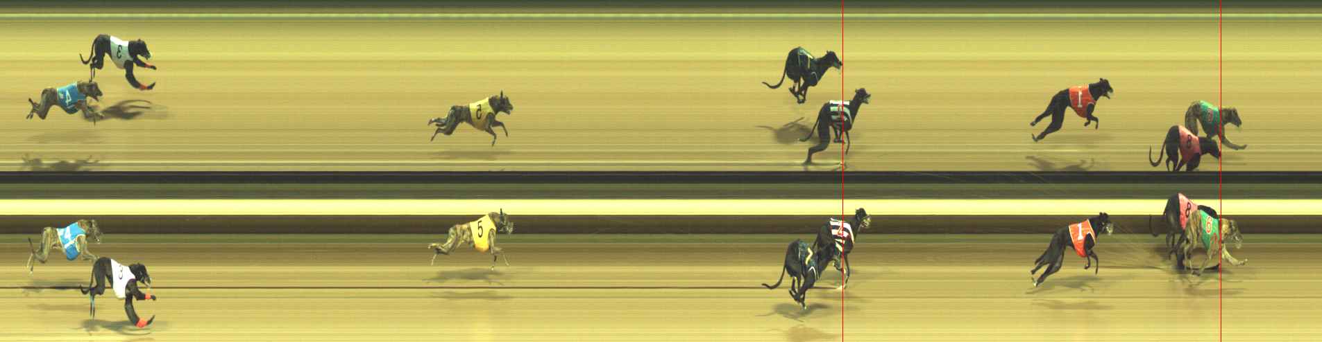 Photo finish for Warragul Race 1