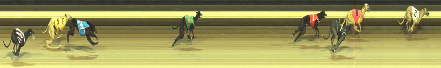 Photo finish for Warragul Race 2