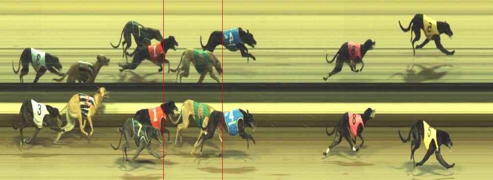 Photo finish for Warragul Race 3