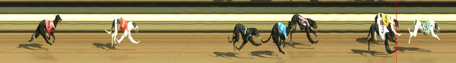 Photo finish for Warragul Race 2