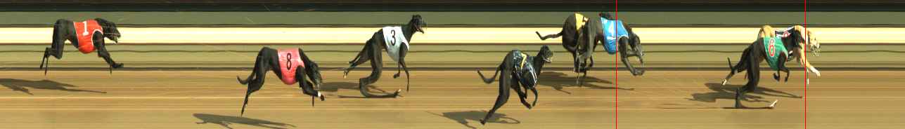 Photo finish for Warragul Race 3