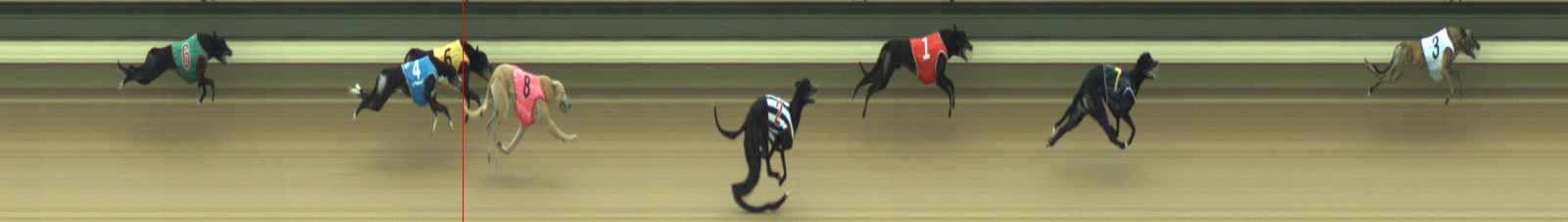 Photo finish for Warragul Race 6