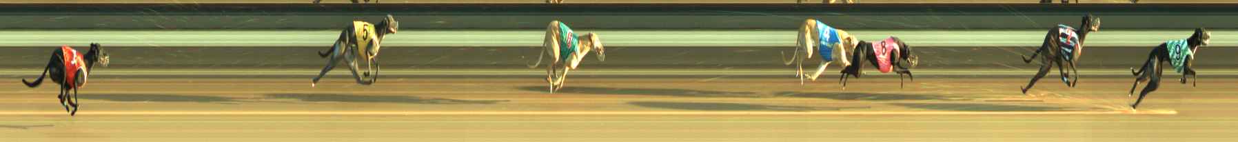 Photo finish for Warragul Race 8