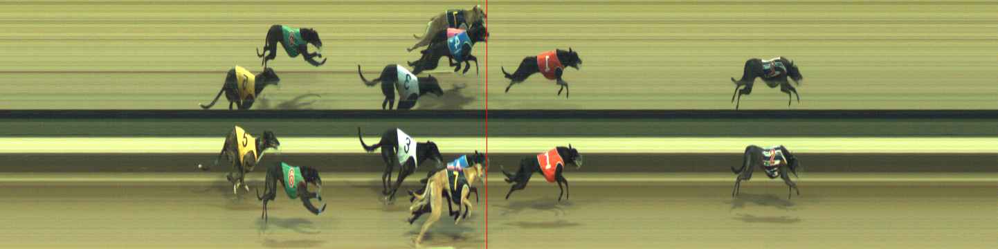 Photo finish for Warragul Race 10