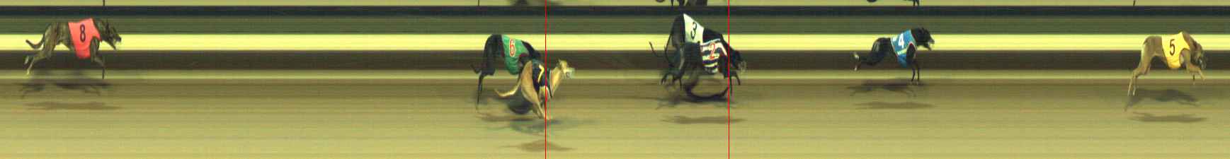 Photo finish for Warragul Race 11
