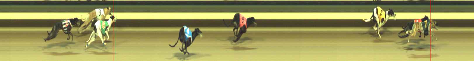 Photo finish for Warragul Race 12