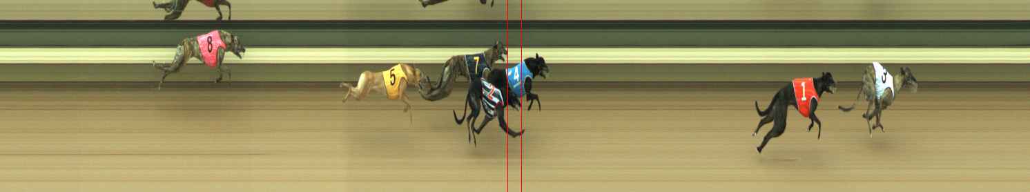 Photo finish for Warragul Race 1