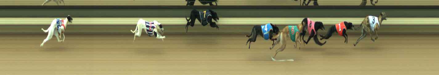 Photo finish for Warragul Race 2