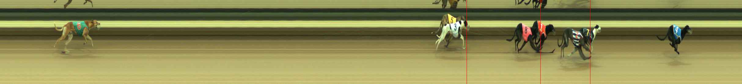 Photo finish for Warragul Race 3