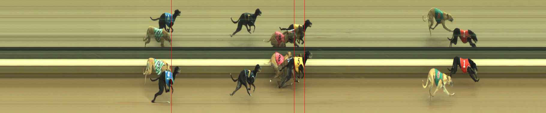 Photo finish for Warragul Race 4
