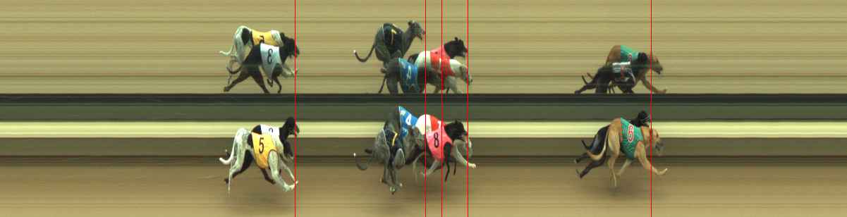 Photo finish for Warragul Race 5