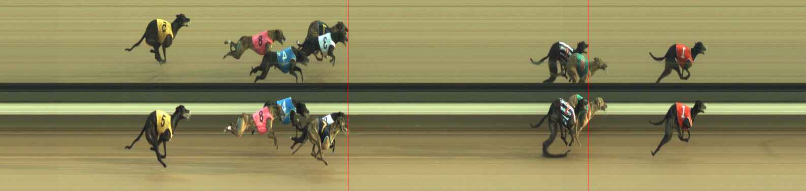 Photo finish for Warragul Race 8