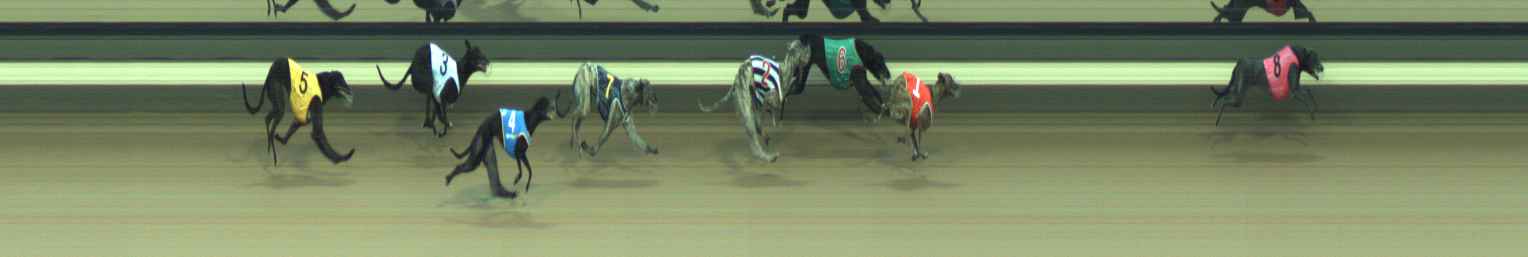 Photo finish for Warragul Race 9
