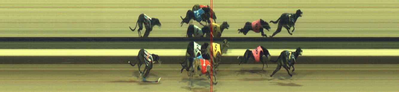 Photo finish for Warragul Race 10