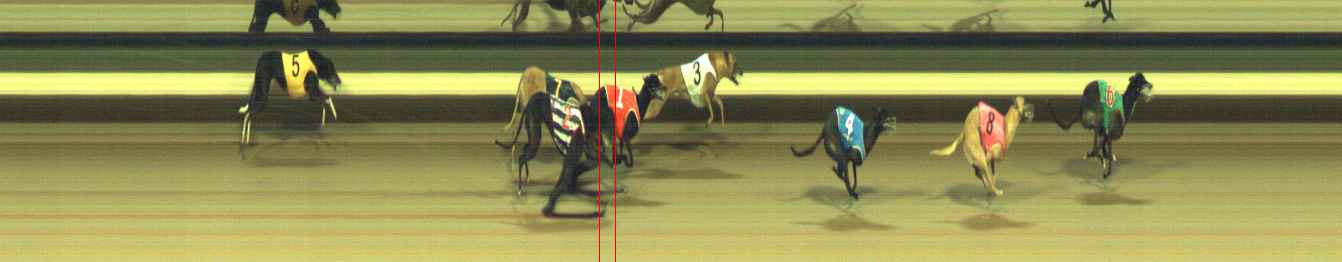 Photo finish for Warragul Race 11