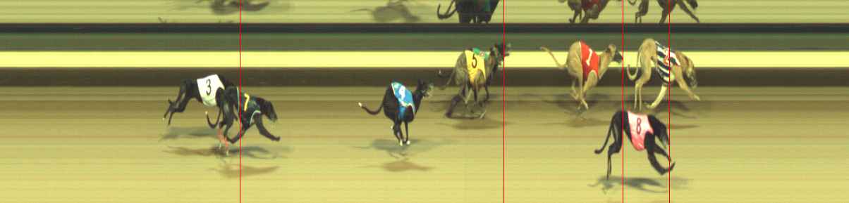 Photo finish for Warragul Race 12