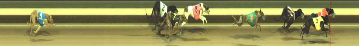 Photo finish for Warragul Race 2