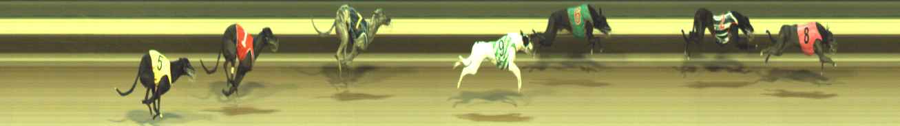 Photo finish for Warragul Race 3